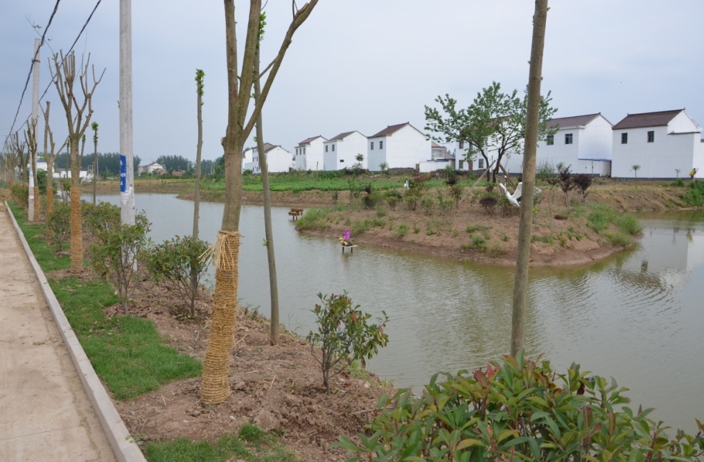 《農(nóng)村黑臭水體治理工作指南》來(lái)了！